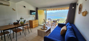 Chalereux T2 Vue mer et piscine Alba Rossa
